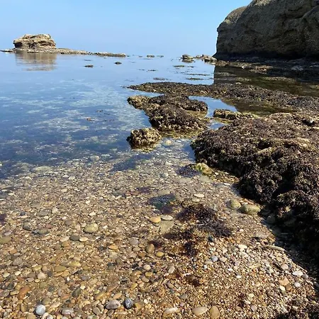 Lejlighed Paradiso Vasto